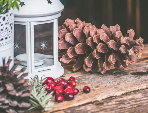 Support and advice this winter